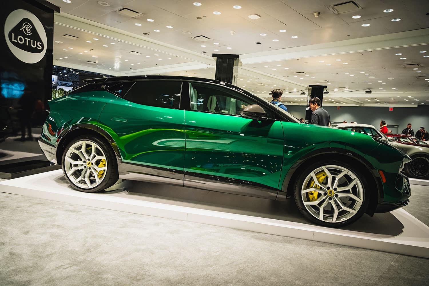 Lotus