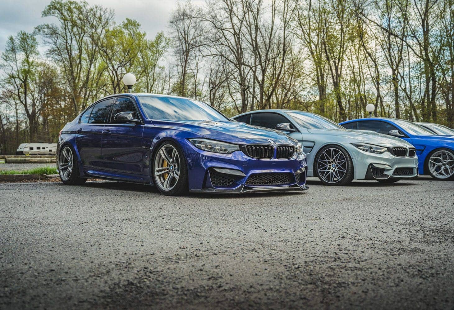 Velvet Blue