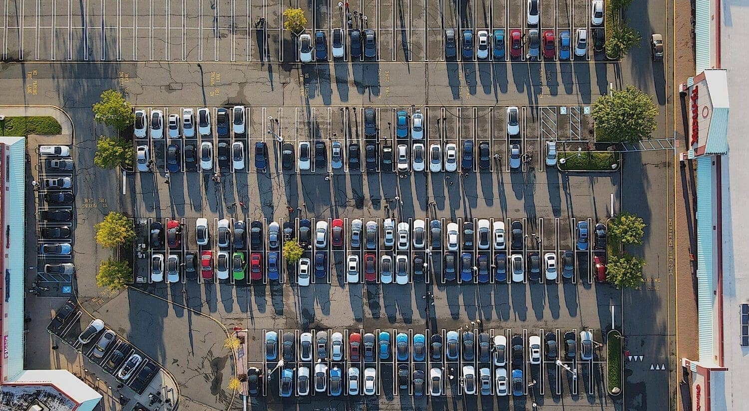 2021-M3-Fall-Cruise