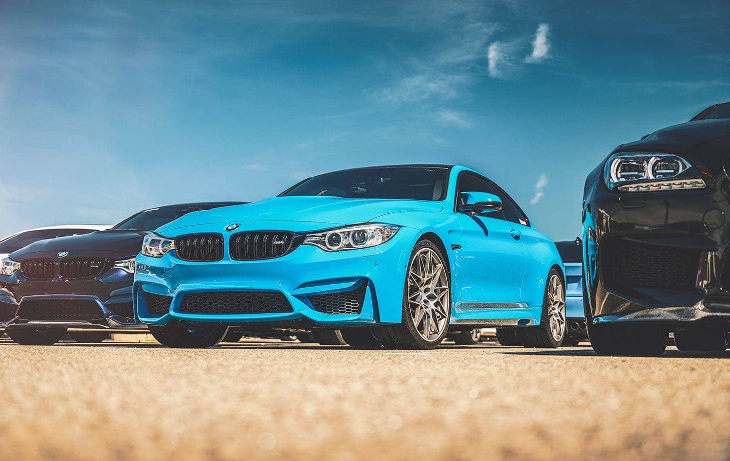Mexico Blue