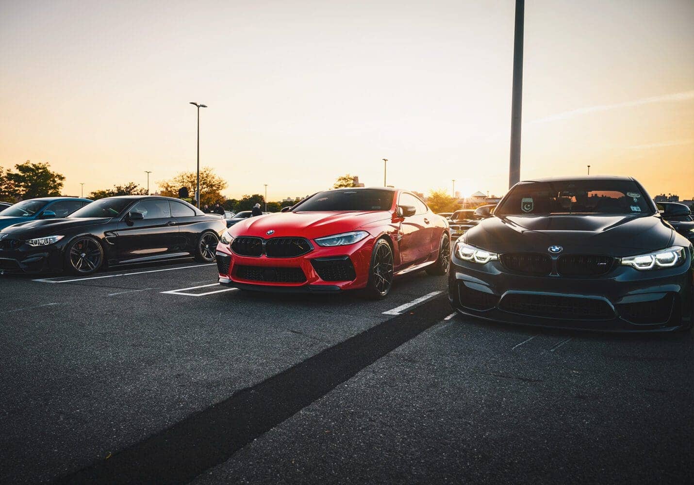 BMW-M8