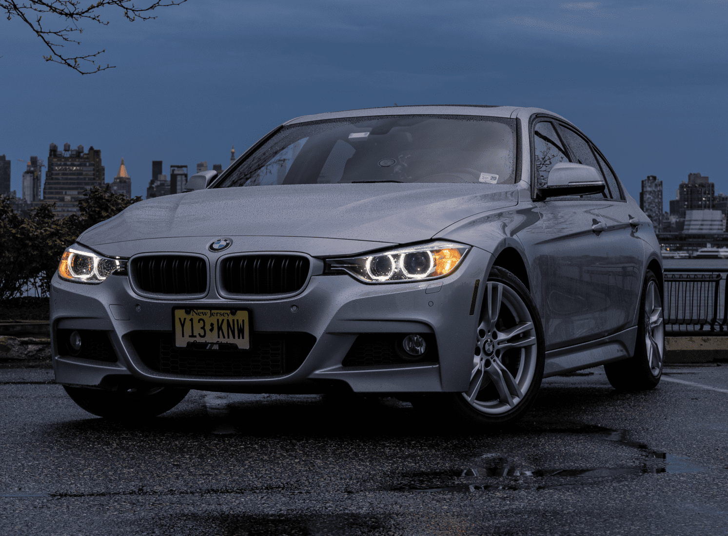 BMW 335i grille