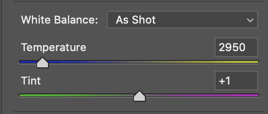 White Balance